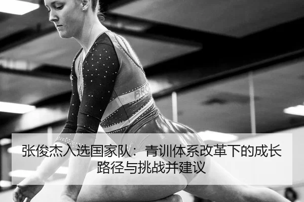 zhang-jun-jie-ru-xuan-guo-jia-dui-qing-xun-ti-xi-gai-ge-xia-de-cheng-zhang-lu-jing-yu-tiao-zhan-bing-jian-yi-2-255.jpg